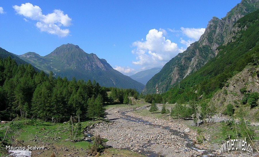 03 Usciamo dal bosco appena sotto l'osservatorio.JPG